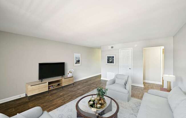 Affordable one bedroom apartment in Marietta GA with open living area and natural light