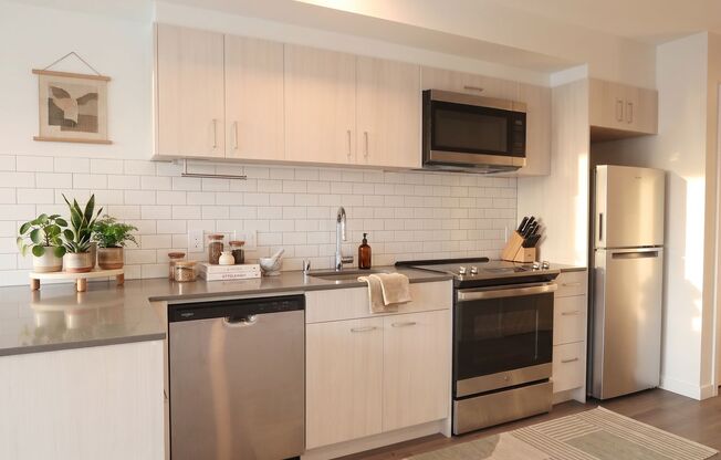 Studio, 1 bath, 429 sqft, $1,825, Unit 413