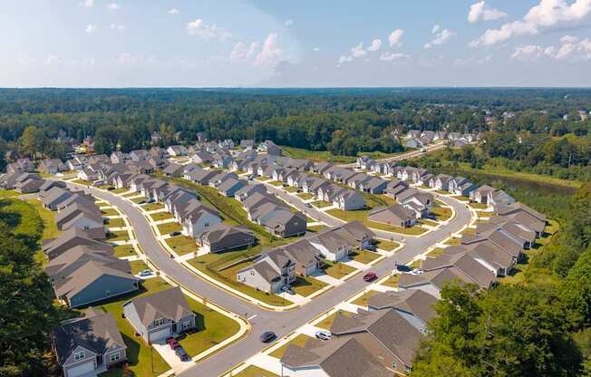 Scenic aerial shot capturing the homes and neighborhood streets.