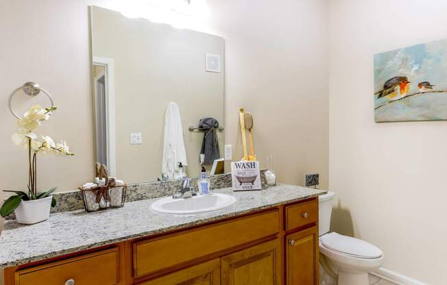 A bathroom with a white toilet and a brown vanity.