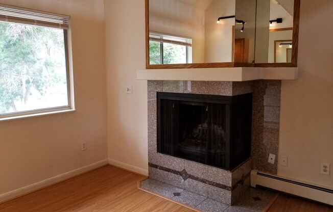 1 bed, 1 bath, 500 sqft, $1,695, Unit 316