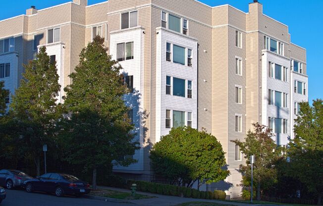 1 bed, 1 bath, 755 sqft, $1,850, Unit 207