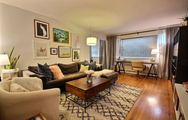 Dazzling 1 bed 1 bath - Lower Queen Anne!