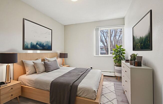 1 bed, 1 bath, 545 sqft, $799, Unit Unit 1