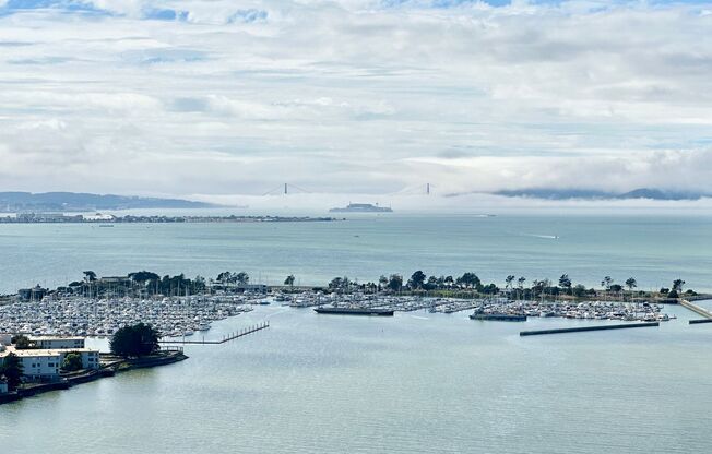 GORGEOUS Views from the 29th Floor in this Remodeled Penthouse.