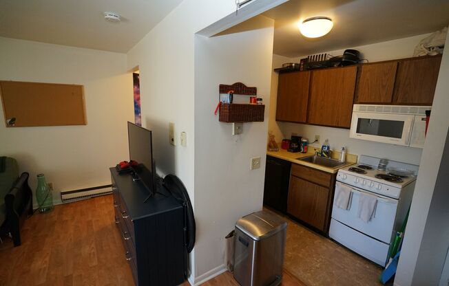 Studio, 1 bath, $800, Unit 4