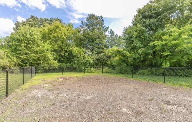 a dog park with trees and a fence