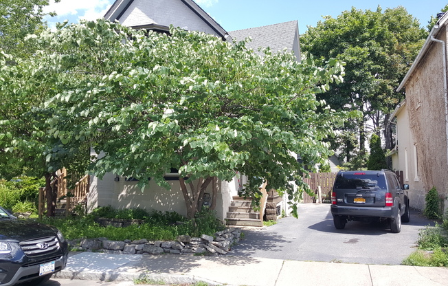 8 Linwood Place