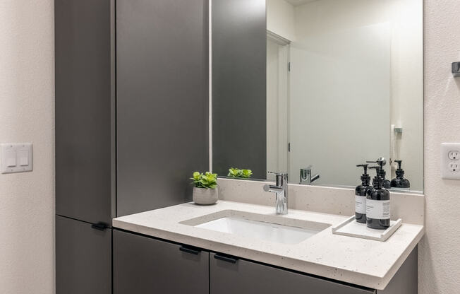 1 Bedroom Model Bathroom - Coen & Columbia