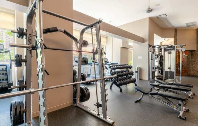 a gym with weights and a row of dumbbells