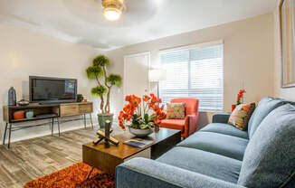 Living Room With TV at Agave Apartments, Tucson, Arizona