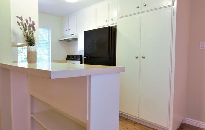 1 bed, 1 bath, $2,000, Unit C24