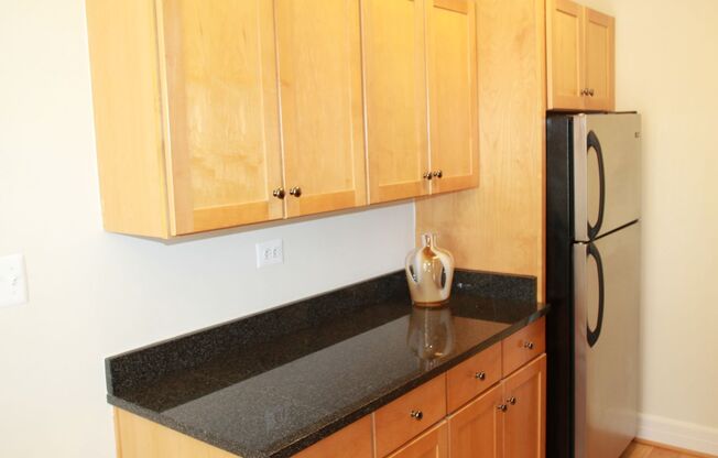 Studio, 1 bath, 487 sqft, $2,175, Unit 502