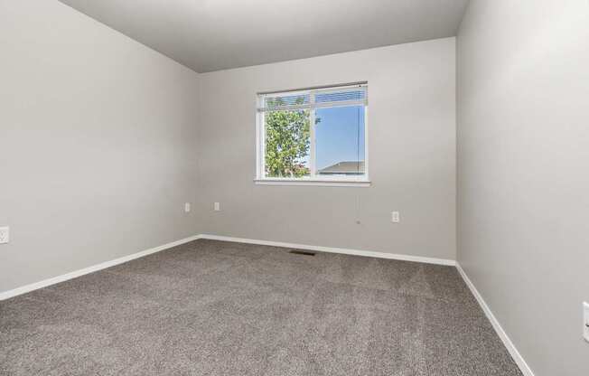 A room with a carpeted floor and a window showing a tree and a building outside.