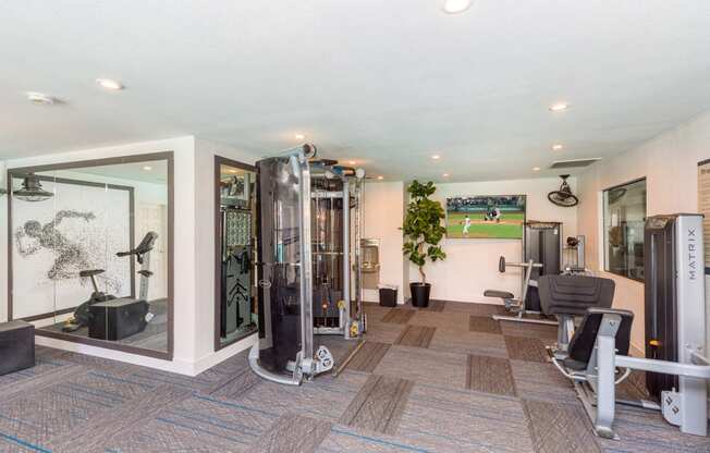 a gym with a treadmill and other exercise equipment in a home with a soccer field