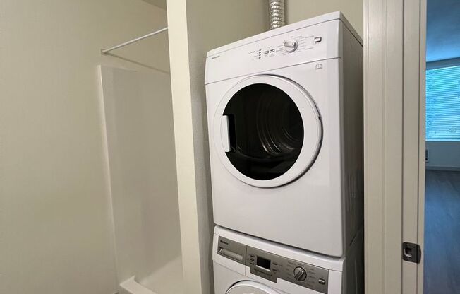 Studio, 1 bath, 306 sqft, $1,245, Unit 203