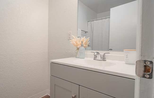 The Willows Apartments bathroom sink and grey cabinets