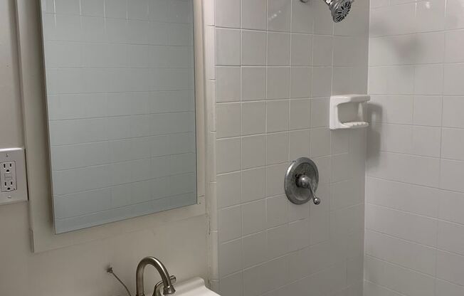 Studio, 1 bath, $1,195, Unit 15