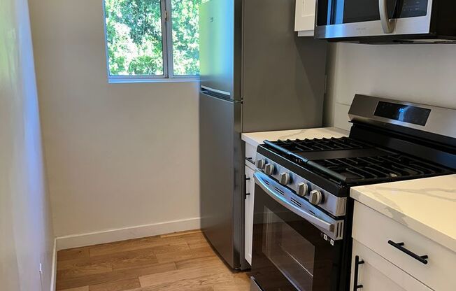 Studio, 1 bath, 500 sqft, $1,845, Unit 204