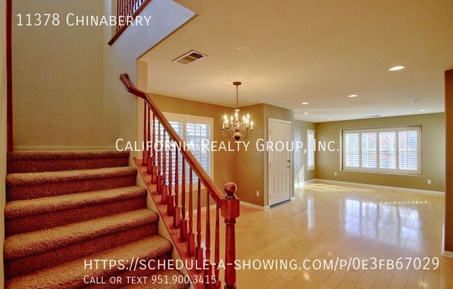 11378 CHINABERRY