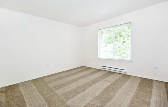 an empty room with a window and a carpeted floor