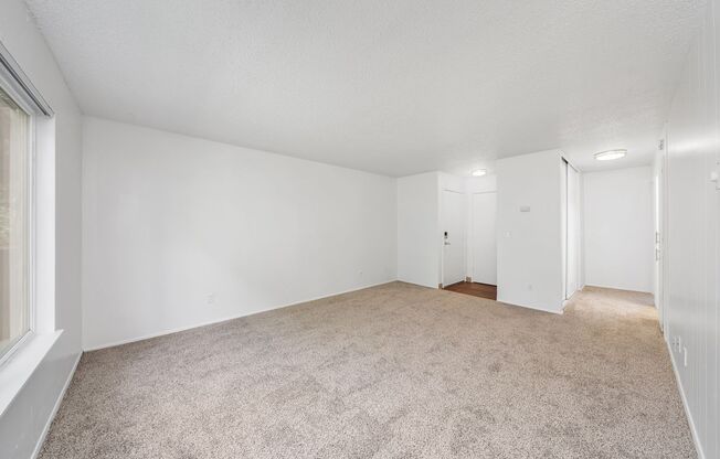 2 beds, 1 bath, $1,495