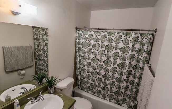 2 beds, 1 bath, $1,675