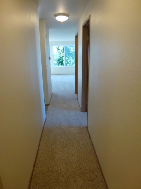 02) 4459 Fremont