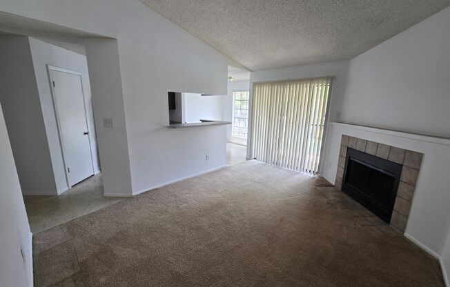Charming One Bedroom for Rent in Tampa!