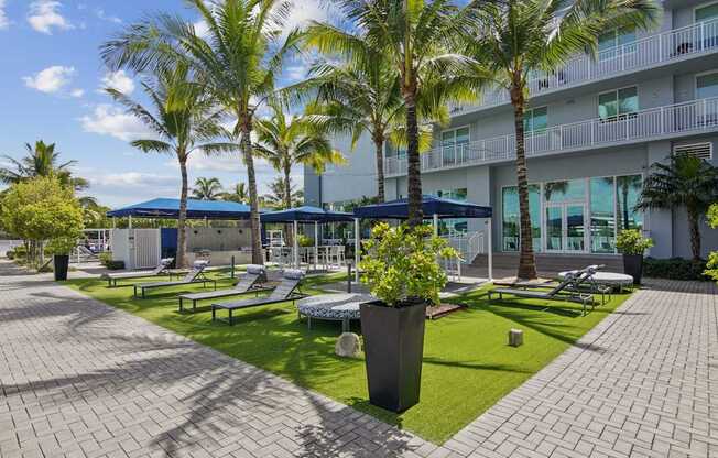 A sunny day at the resort with palm trees and lounge chairs.