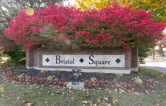 the sign in front of a tree with pink flowers