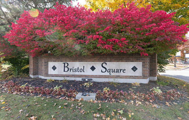 the sign in front of a tree with pink flowers