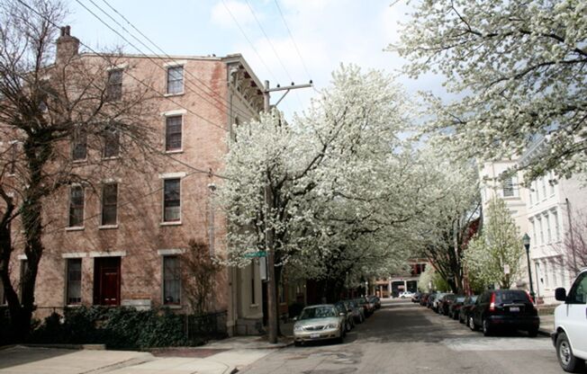 Orchard St