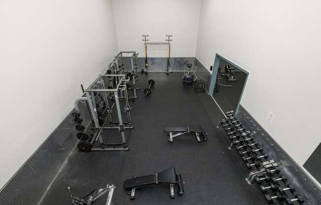 Free Weights and Workout Equipment