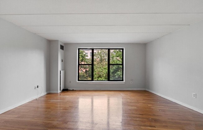 3 Douglas Park 215