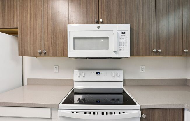 1 bed, 1 bath, 110 sqft, $1,100