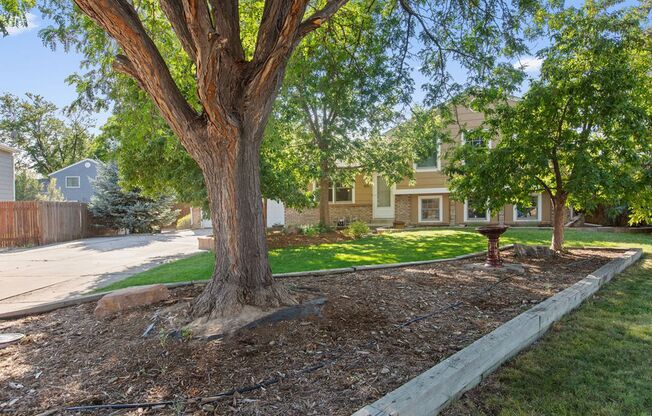 4 bed, 2 bath, large yard available in Woodmere, Loveland