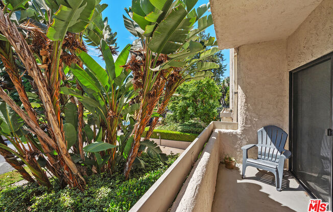 Studio, 1 bath, 403 sqft, $2,499, Unit 217