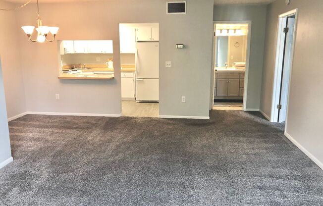 1 bed, 1 bath, $1,300