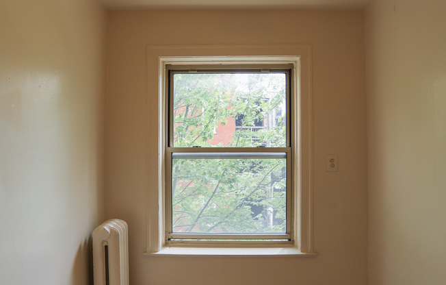 1100 West Roscoe St.