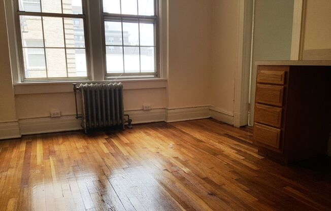 Studio, 1 bath, 240 sqft, $1,125, Unit 501