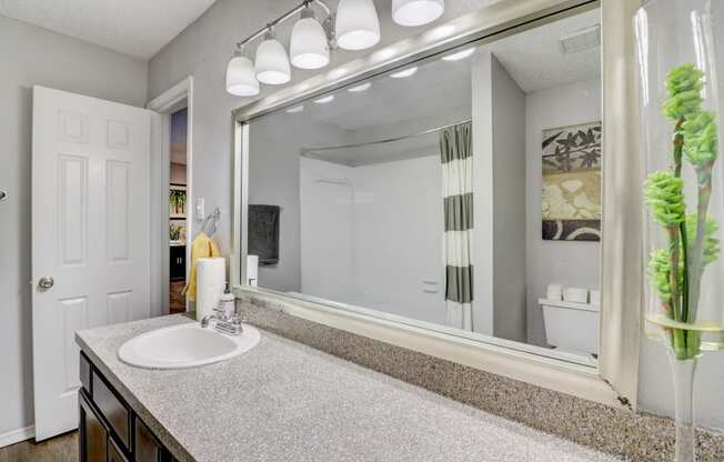 a bathroom with a sink and a large mirror