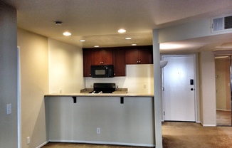 NEWLY REMODELED MODERN CONDO! LAUNDRY IN UNIT, POOL, GYM