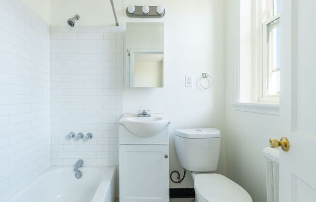 Studio, 1 bath, 375 sqft, $1,195, Unit C7