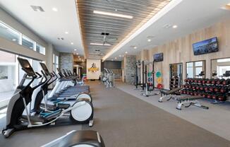 the gym at the condo is equipped with cardio equipment