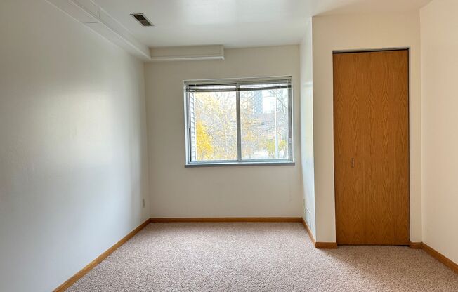 1 bed, 1 bath, $1,625