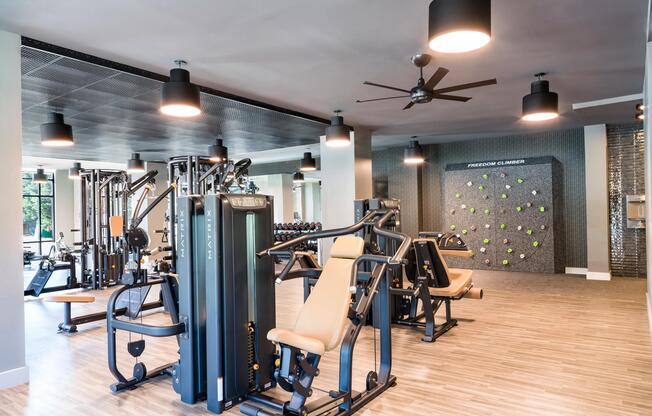 An expansive fitness studio with strength equipment, functional training areas, and room to move, designed to support varied workouts and daily routines.