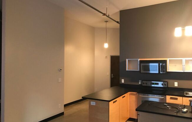 Spectacular Spacious Studio Condo in Downtown St. Paul.