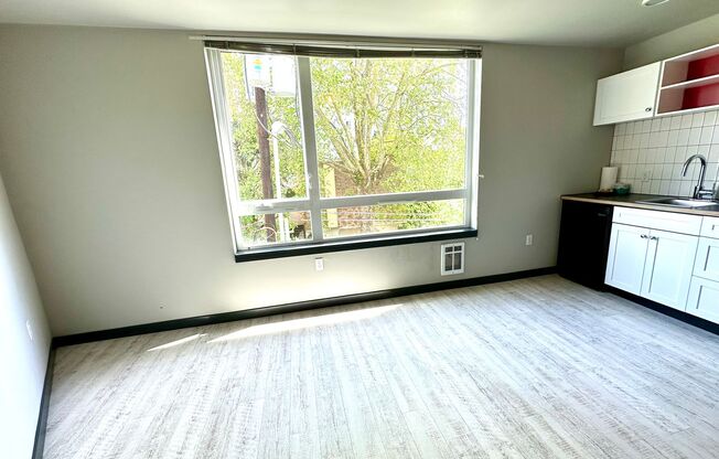 Studio, 1 bath, 258 sqft, $1,350, Unit 505