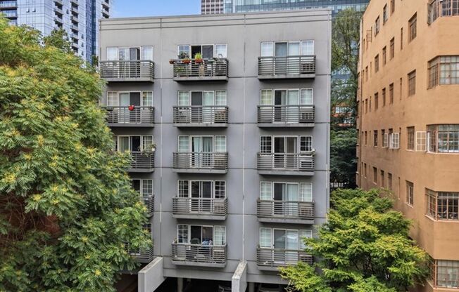 1 bed, 1 bath, 491 sqft, $1,250, Unit 604